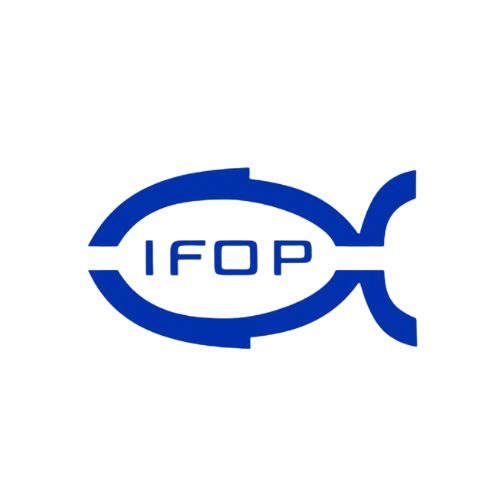 Diseño sin título - 2022-12-01T130326.052